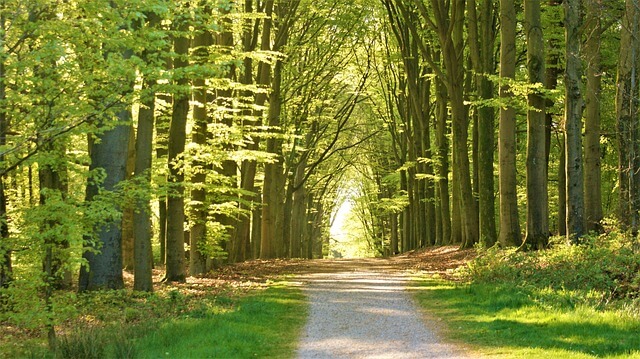 김문수-한덕수 단일화 갈등 전말과 대선 승부수