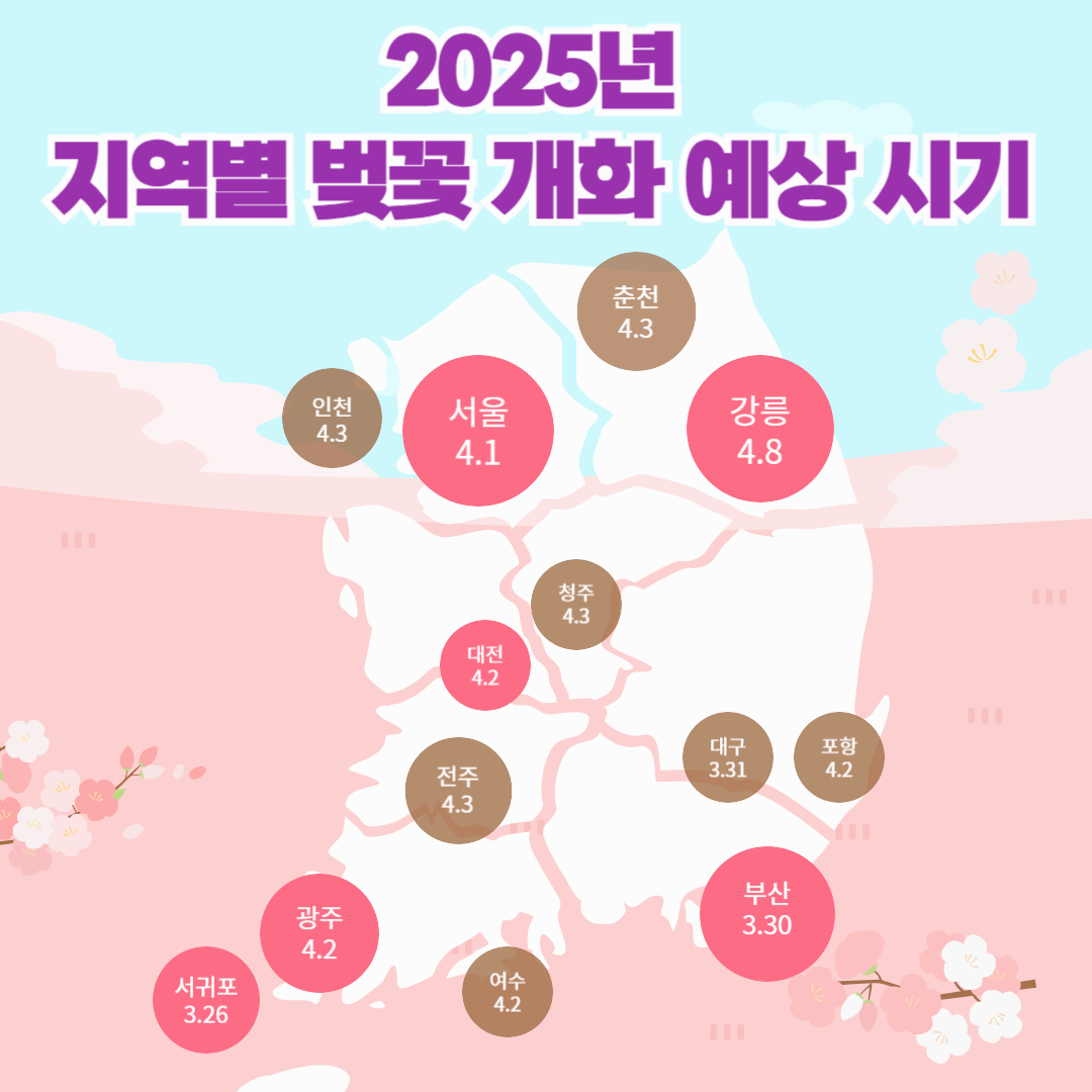 2025년 전국 벚꽃 명소 &amp; 축제 안내