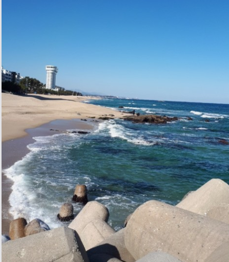 강릉 관련 사진