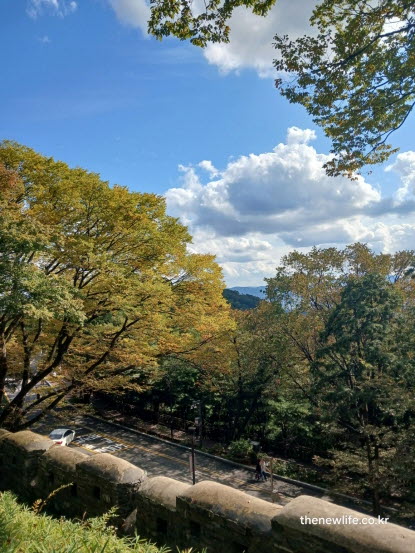 서울 단풍 명소 남산 성곽길 단풍 전망