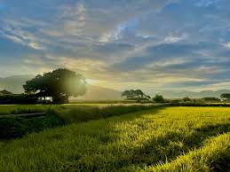 농지은행 농지 임대수탁 신청방법