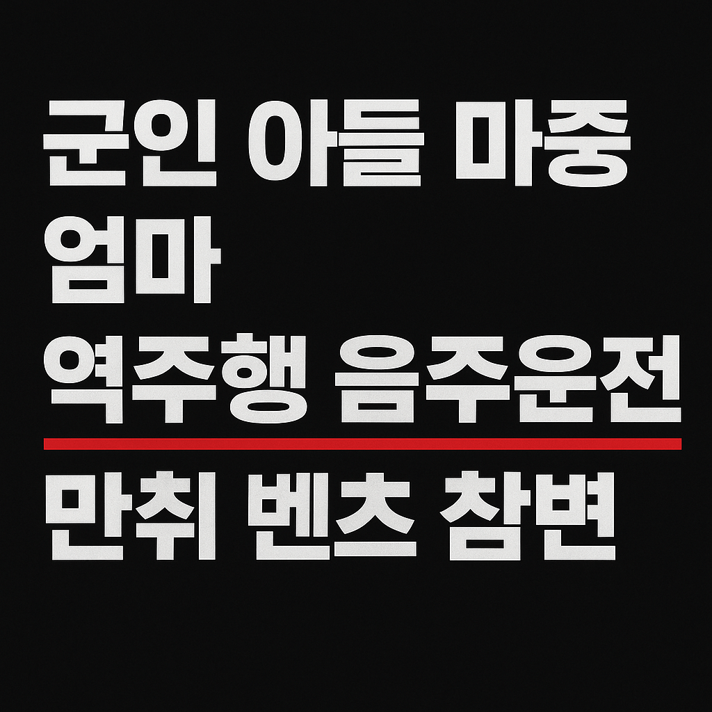 군인아들 마중나온 엄마 참변