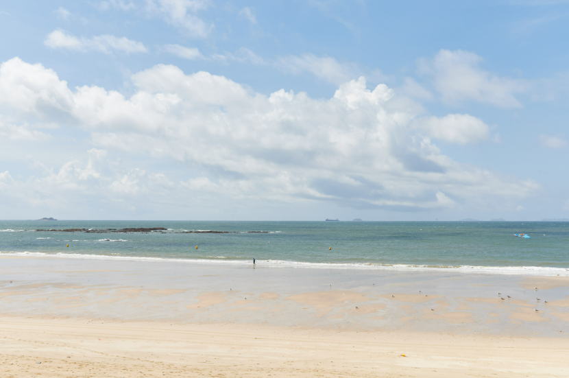 푸른 하늘 아래 넓게 펼쳐진 충남 보령 대천해수욕장의 평평한 백사장 전경