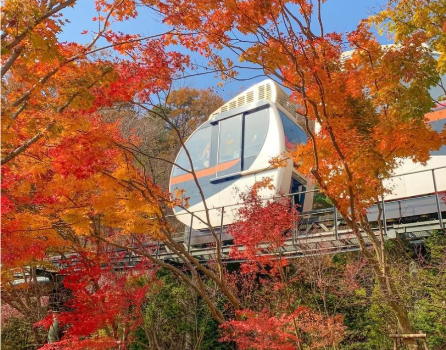 곤지암 화담숲 예약 방법