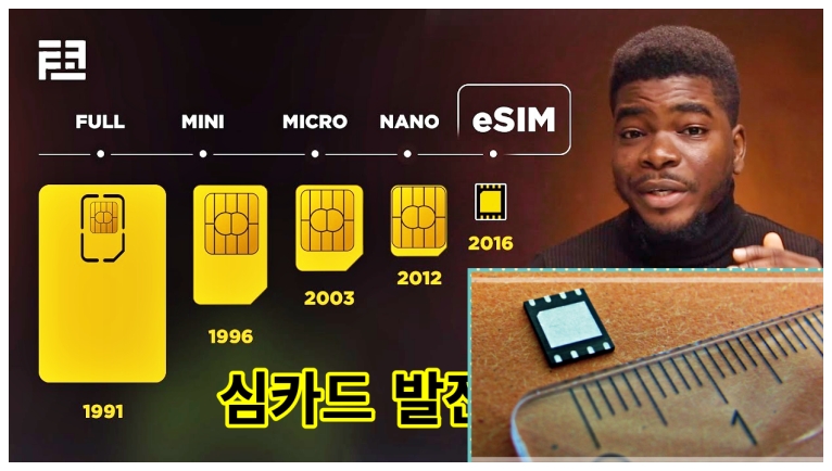esim 역사