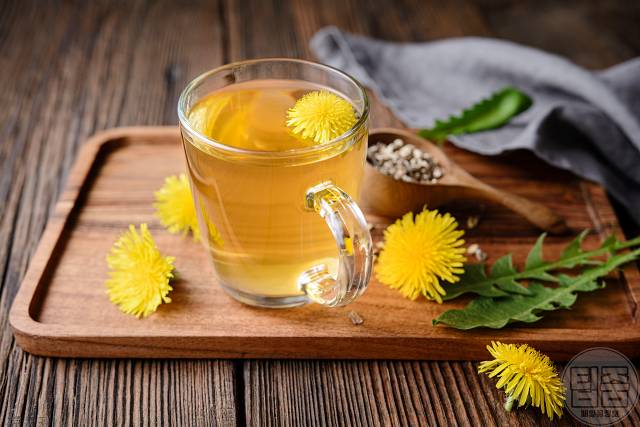 간에 좋은 차 민들레차 효능 민들레차부작용