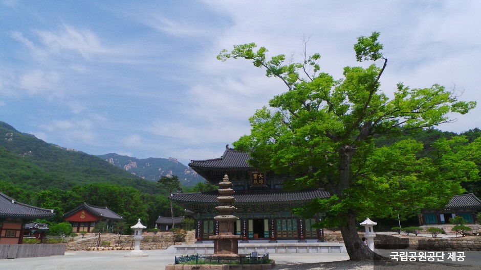 영암 가볼만한곳 베스트10