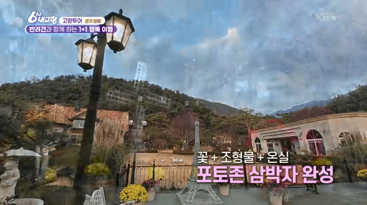 [6시내고향]경기 양평 애견동반 바베큐&middot;정원카페&middot;산악 액티비티 &amp;#39;바베큐레이브 더그림 엑스라이프&amp;#39; 예약 위치 연락처 정보