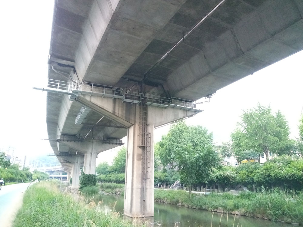 다링비대면 나눔걷기챌린지