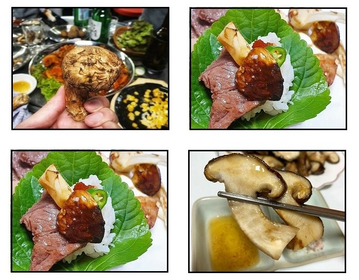 송이버섯-가격-비싼이유-효능