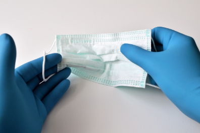 2025 동남아 여행 시 주의해야 할 감염병 5가지(이미지 pixabay)