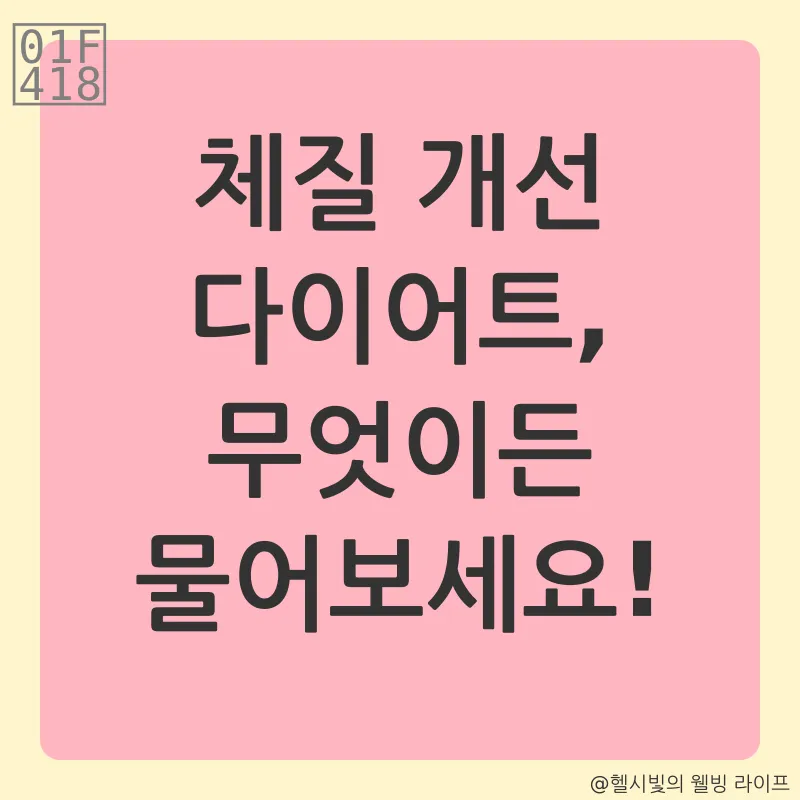 체질 개선 다이어트_4