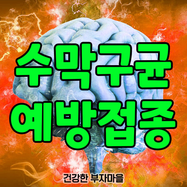 수막구균_예방접종