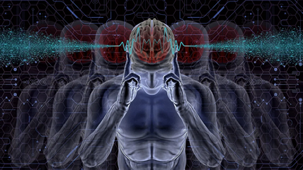 뇌파의 종류와 기능 분석