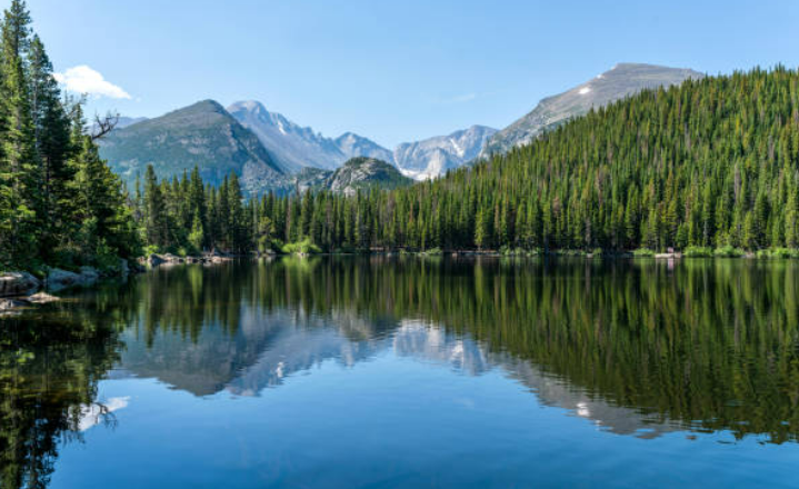 산림청 홈페이지 바로가기 https://www.forest.go.kr/