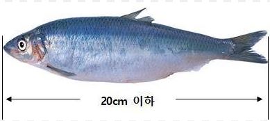 청멸