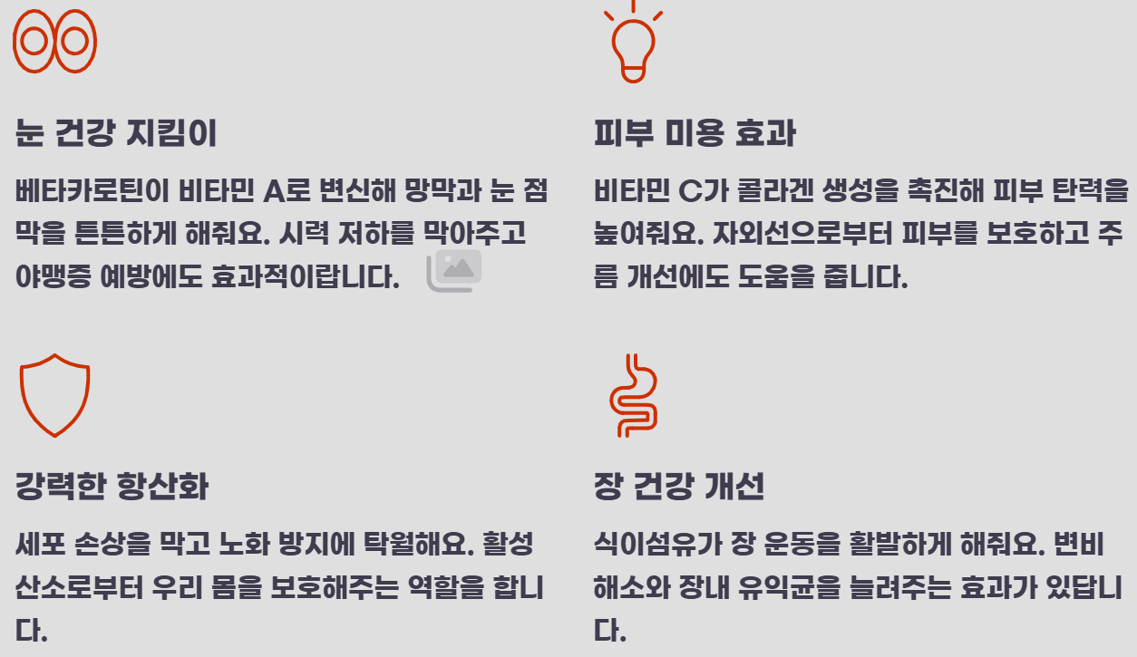 주스용 당근 효능