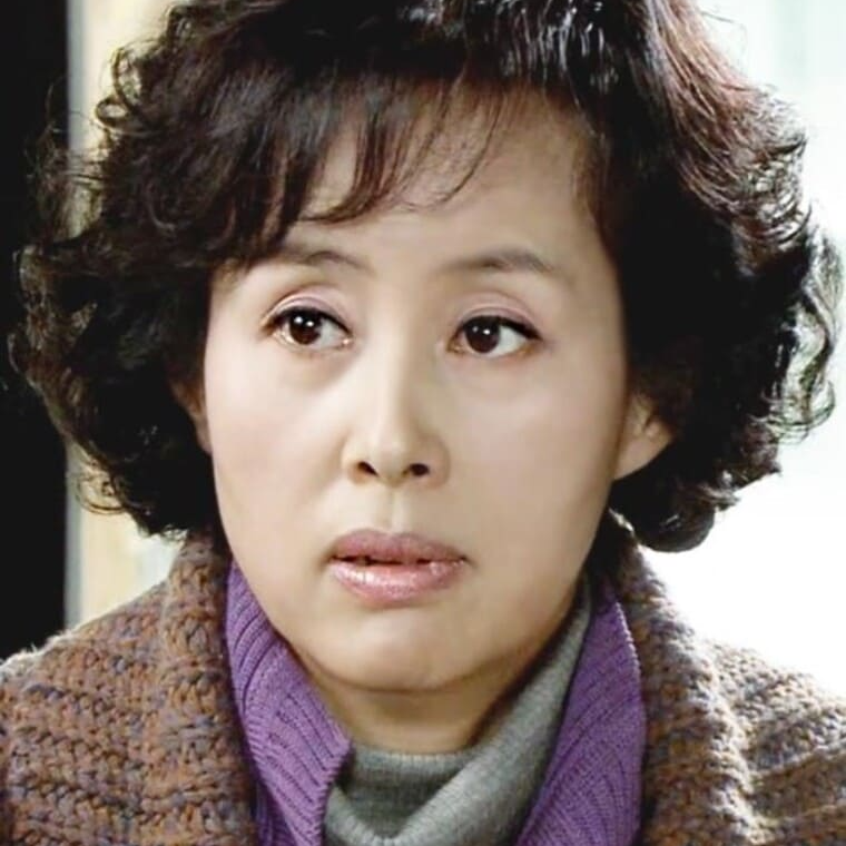 배우-이경진