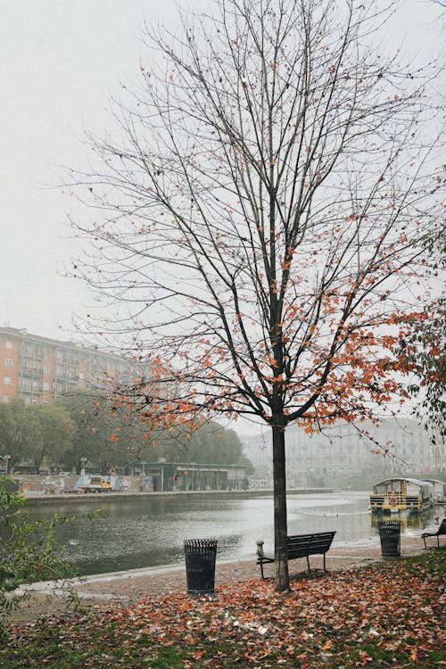 퇴비 없이도 가능한 친환경 식물 키우기 &ndash; 자연 순환 시스템 만들기