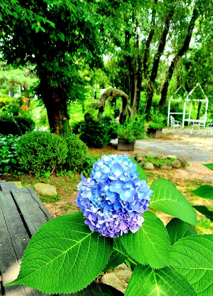 서울근교 계곡 추천: 송추계곡 맛집, 자연을 담은 양주 헤세의 정원