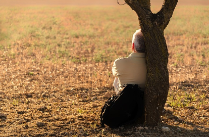 뇌과학으로 본 마이크로 리커버리 효과