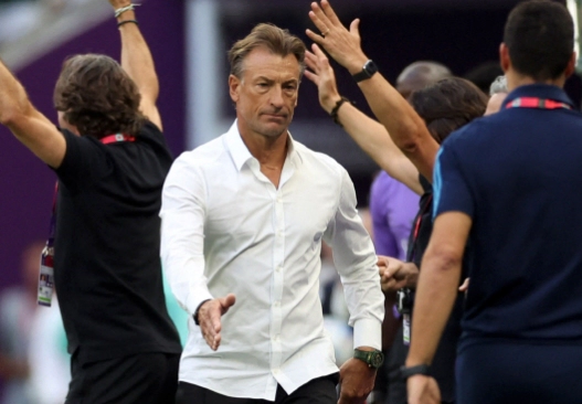 에르베 르나르 축구 국가대표 감독 러브콜 이유