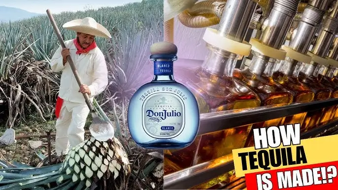 테킬라 Tequila