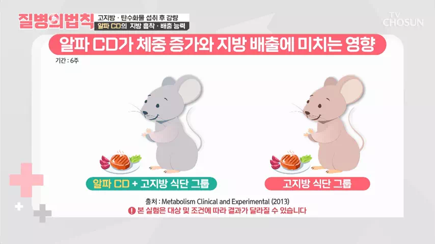 알파CD