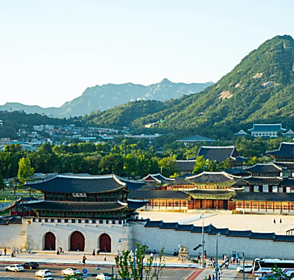 청와대 관람신청