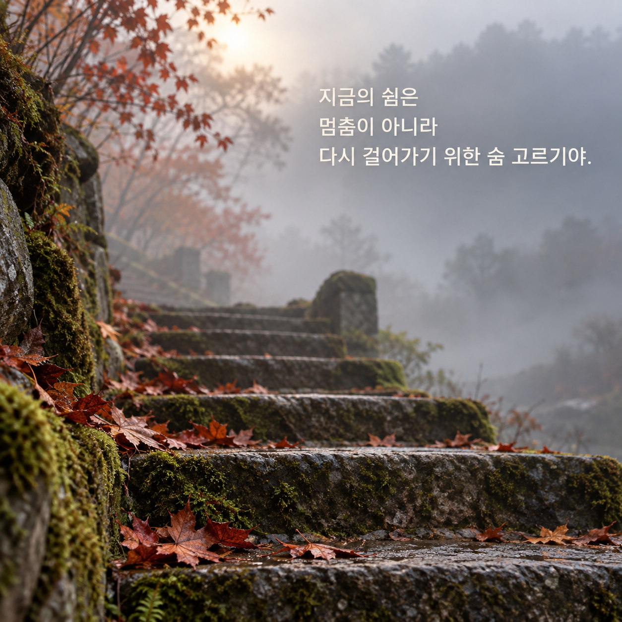 지금의 쉼은 멈춤이 아니라 다시 걸어가기 위한 숨 고르기야