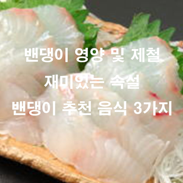 밴댕이 영양 및 제철 재미있는 속설 밴댕이 추천 음식 3가지