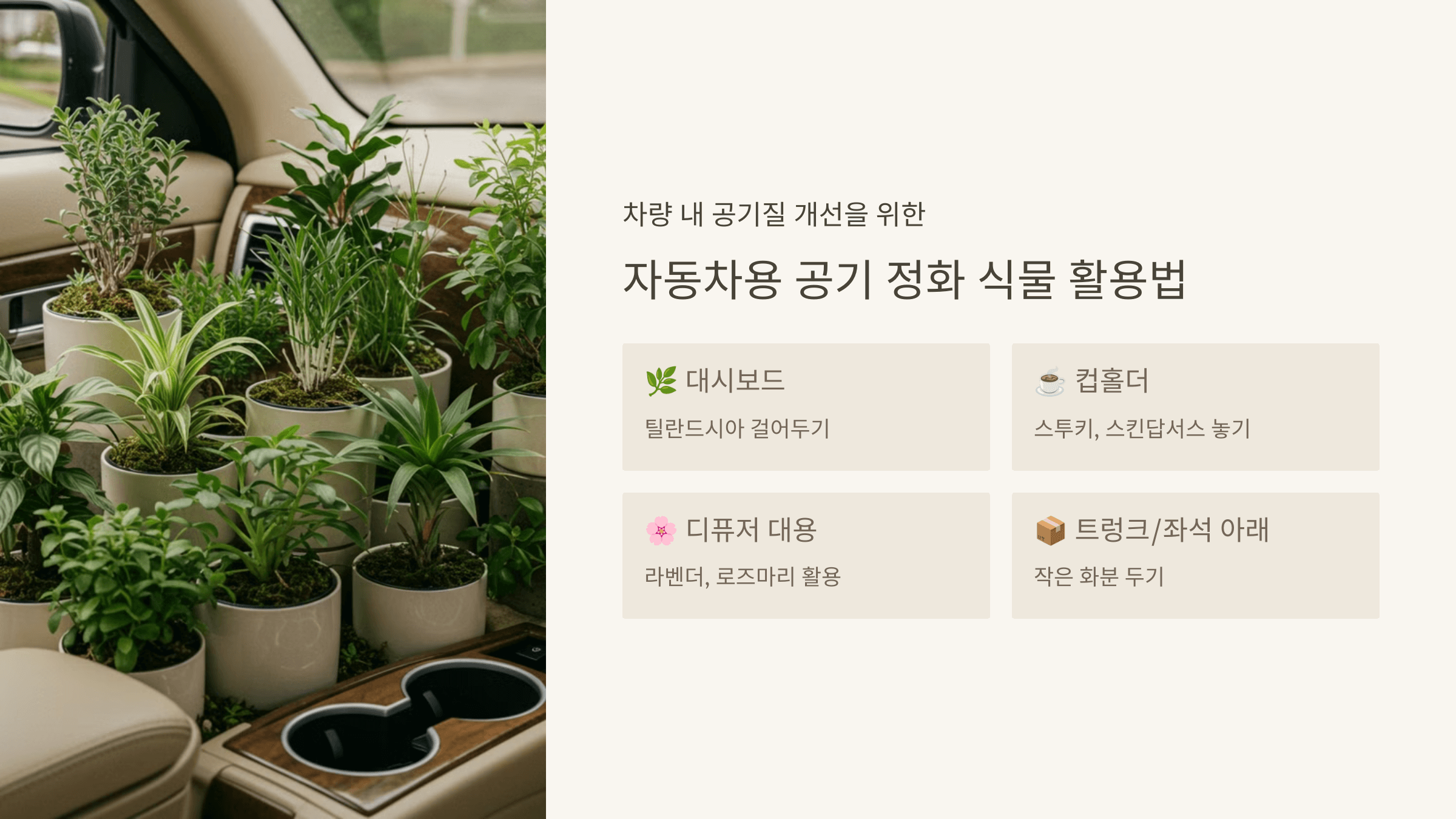자동차용 공기 정화 식물 활용법