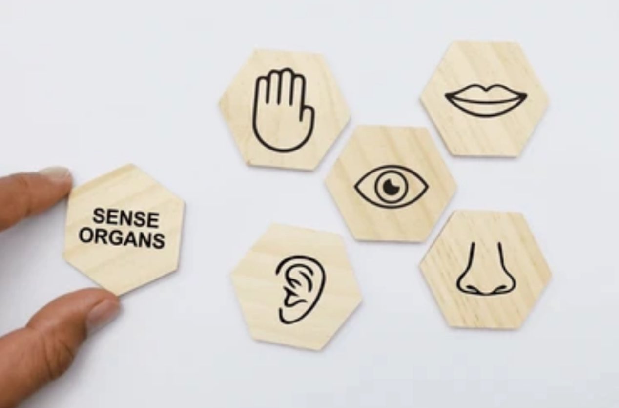 디지털 환경이 감각 과부하를 유발하는 과정과 해결법