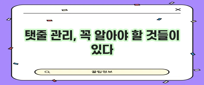 강아지 탯줄 관리 과정 제거 방법과 관리가 중요합니다