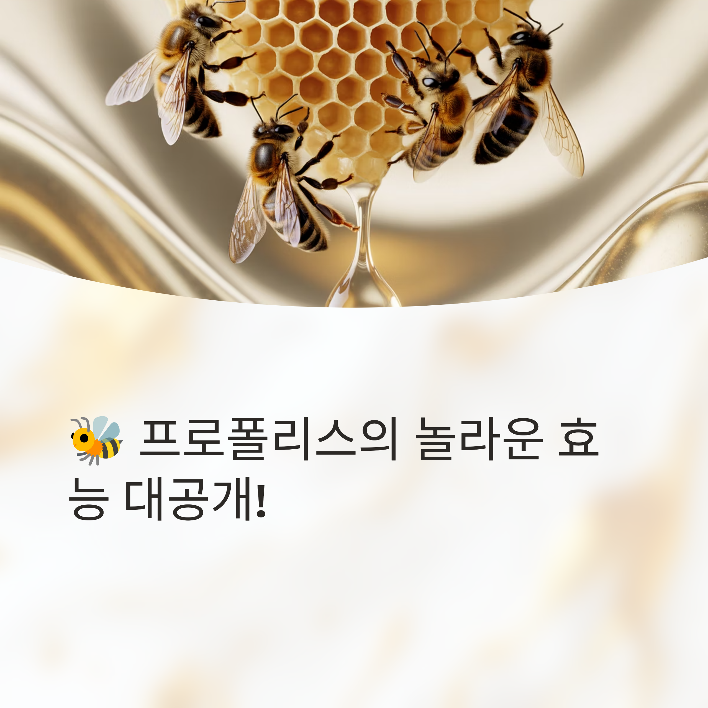 프로폴리스