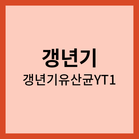 갱년기유산균YT1