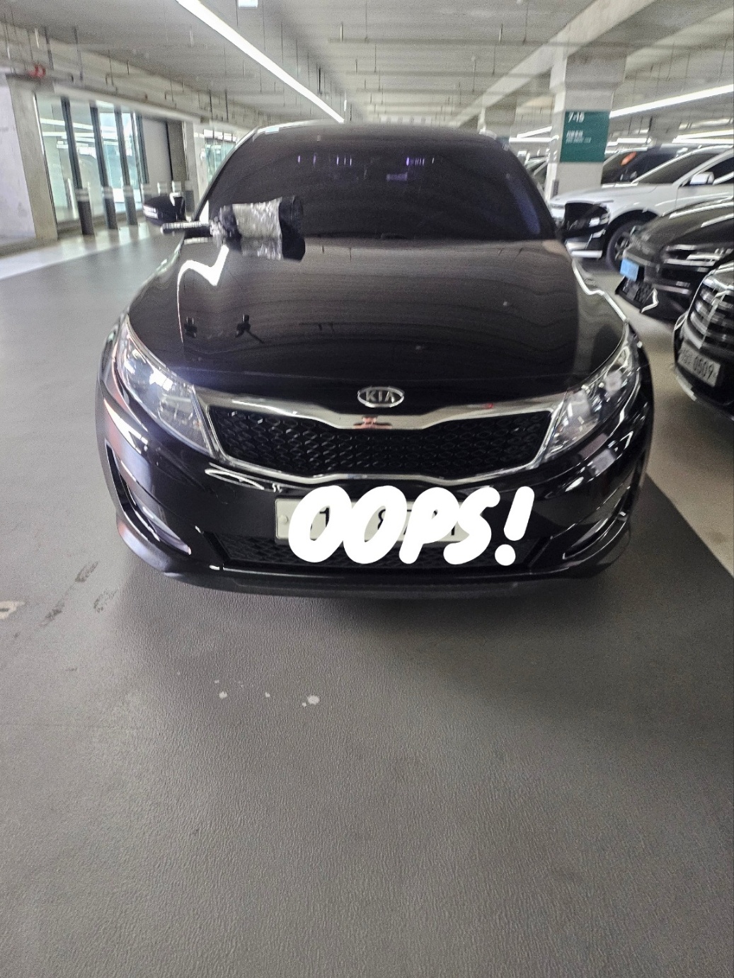 이번에 구매한 자동차