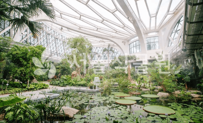 서울식물원-연못-나무