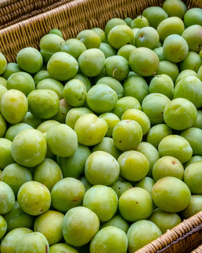 바구니에 담긴 싱싱한 매실