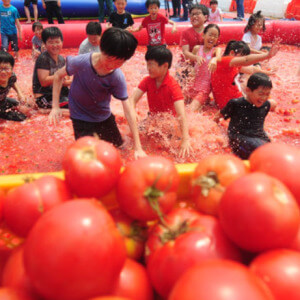 퇴촌 토마토 축제 행사