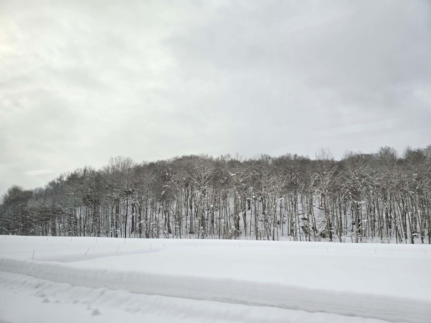 비에이의 주요 스팟