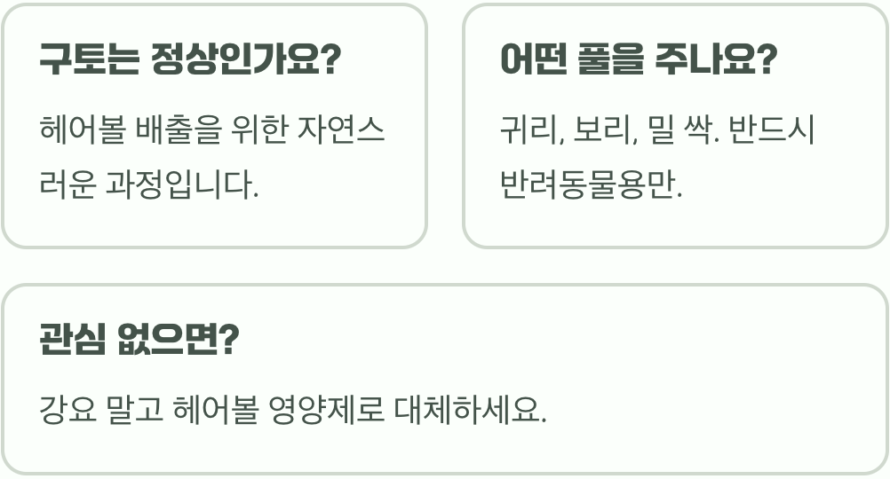 고양이가 풀 뜯어 먹는 이유, 캣그라스 꼭 먹여야 할까? (효능 5가지)