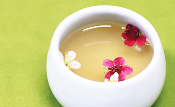 2025 광양전어축제가 한자리에! 