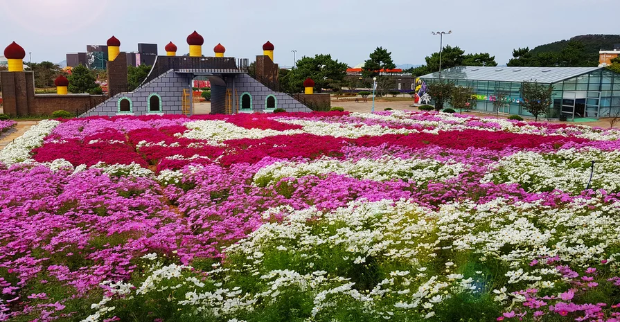 제6회 2023 태안 가을꽃박람회