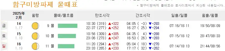금오도 물때
