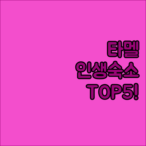 네팔 카트만두 여행자들의 성지 타멜에..
