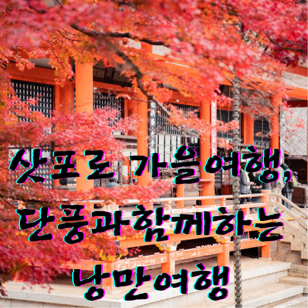 일본 삿포로 여행