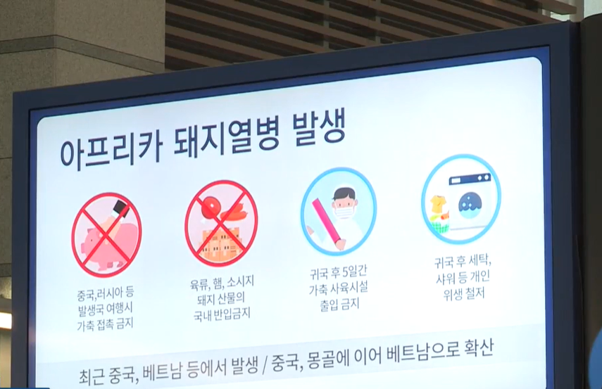 아프리카 돼지열병 발생