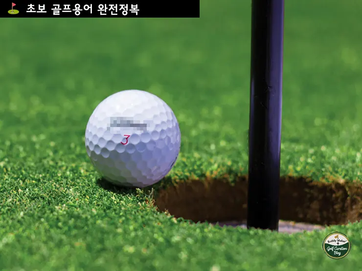 골프 용어 정리: 백스윙부터 버디까지