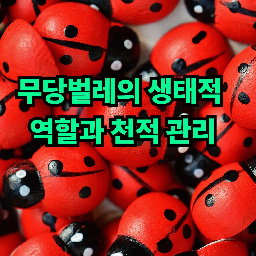 무당벌레의 생태적 역할과 천적 관리